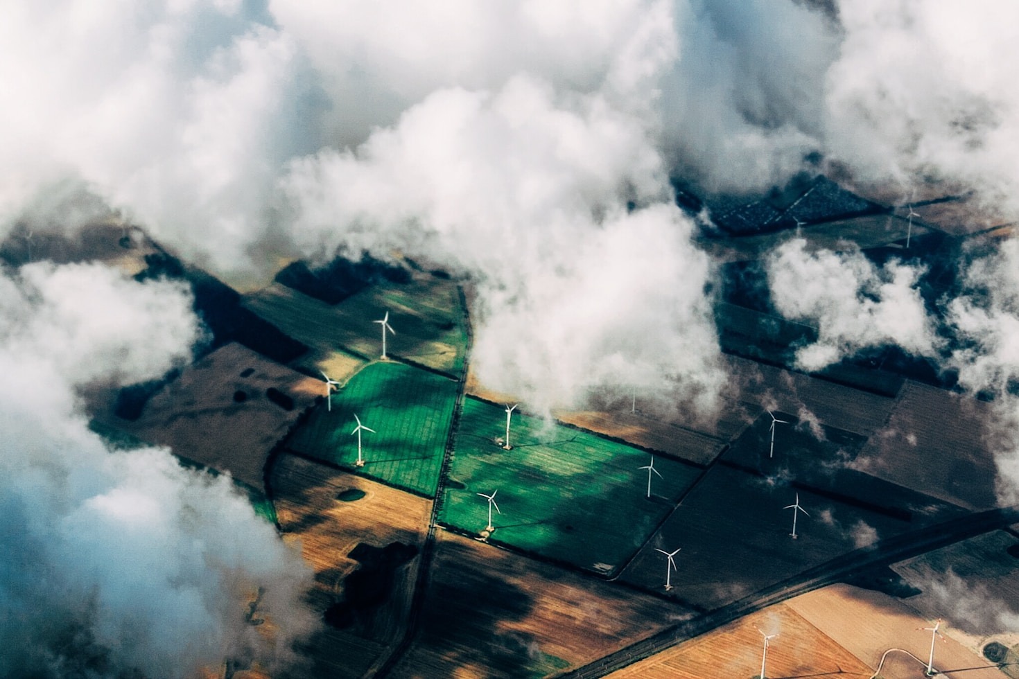 How Nature Inspires Sustainable Business Practices