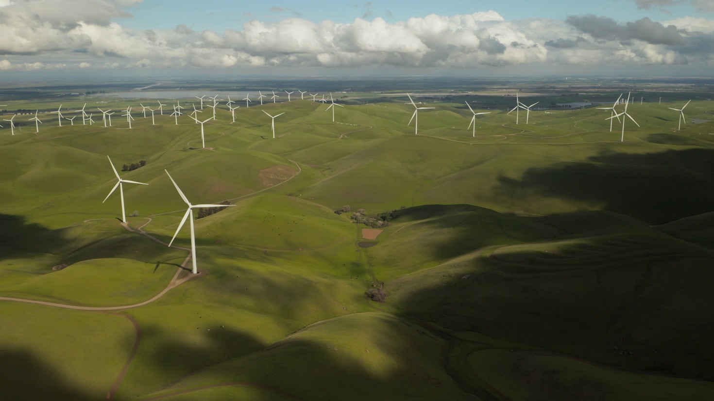 The Synergy of Networking and Sustainability in Leadership